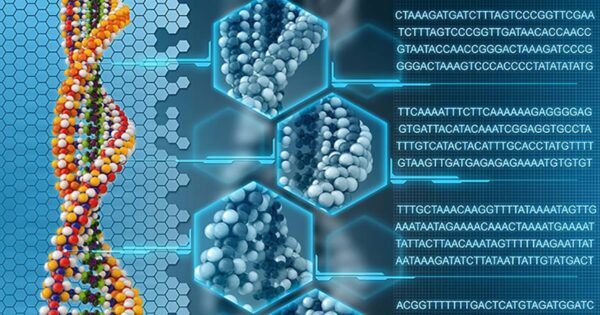 Un scor genetic ar putea identifica adulții cu risc crescut de diabet de tip 1 înainte de apariția simptomelor
