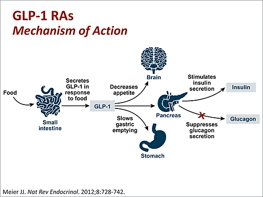GLP-1 Agonist for Binge Eating Disorder: Evidence and Safety