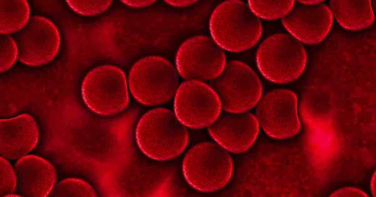 Transplant celule stem hematopoietice jama