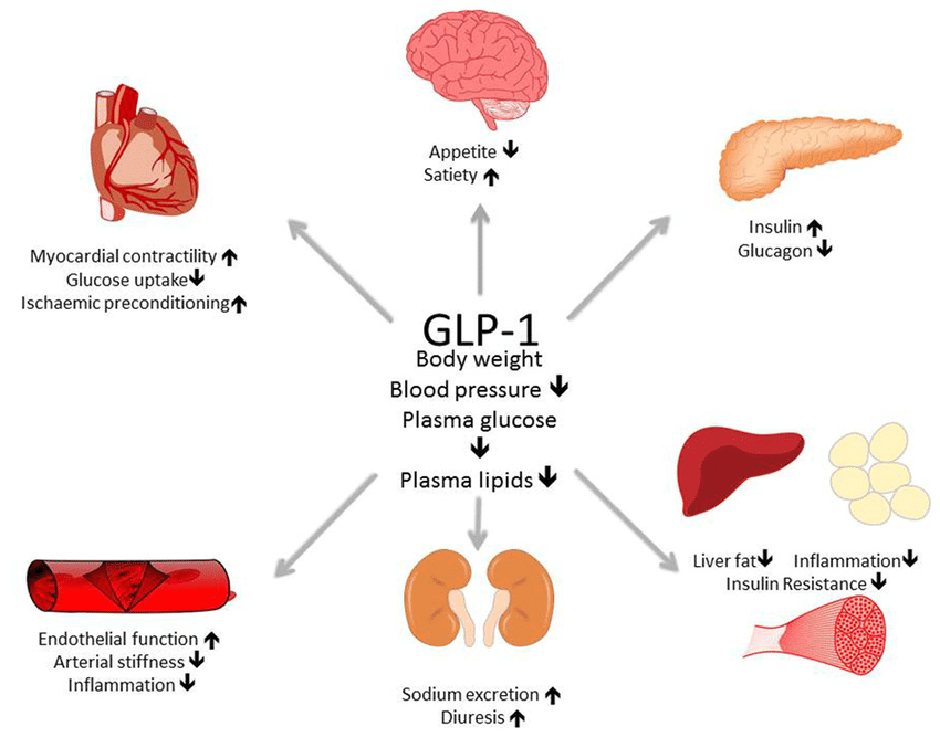 Efectele agoniștilor receptorilor GLP-1 asupra diverselor sisteme și organe