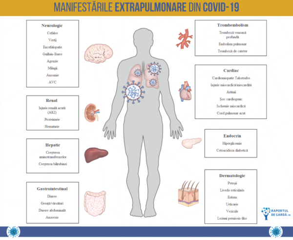 CE SPUN STUDIILE despre COVID-19. 6 luni de la declararea pandemiei. Ce ...