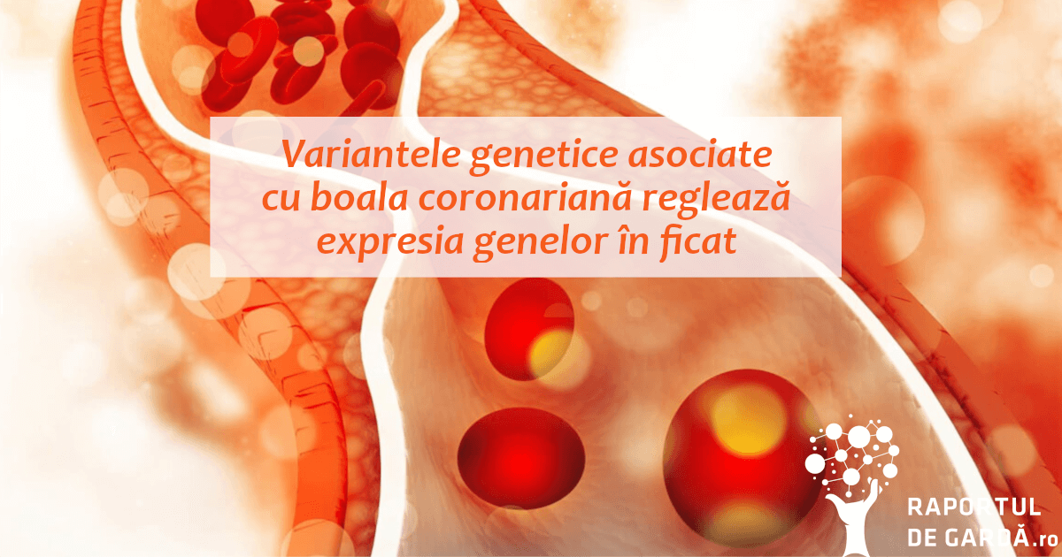 Variantele genetice asociate cu boala coronariană reglează expresia genelor la nivelul ficatului