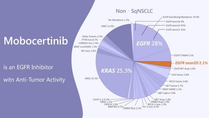 mutatii NSCLC mobocertinib EGFR exon 20