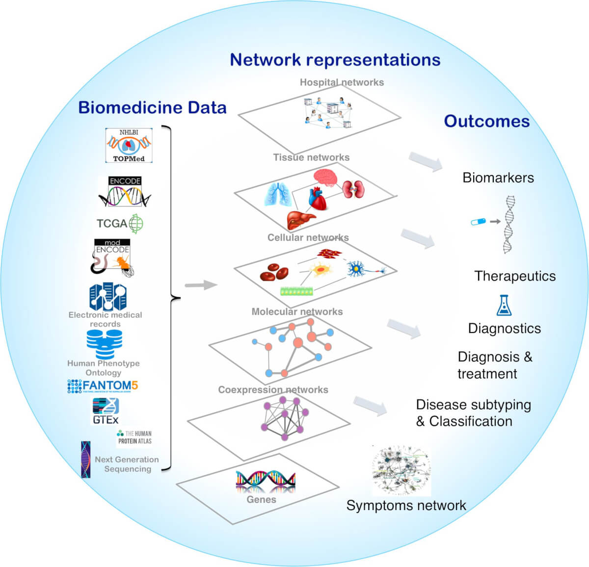 Rețele biologice complexe