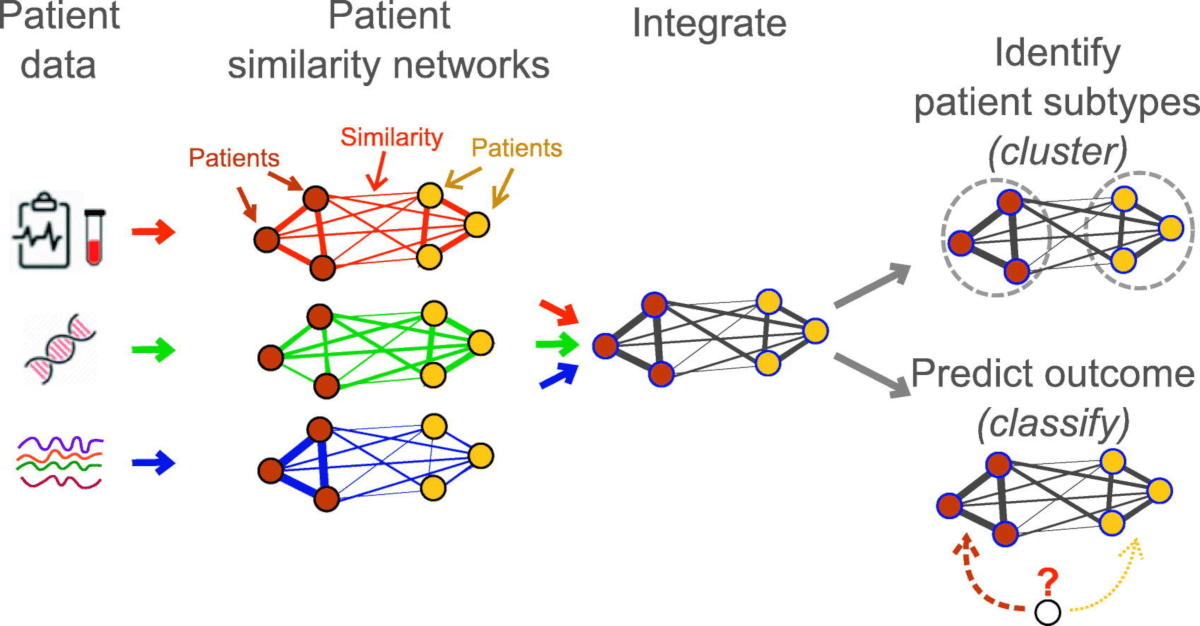Patient similiarity network