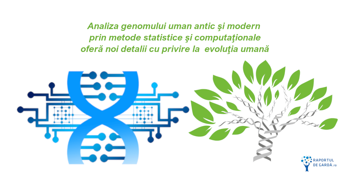 Analiza genomului uman antic şi modern prin metode statistice şi computaţionale oferă noi detalii cu privire la evoluţia umană
