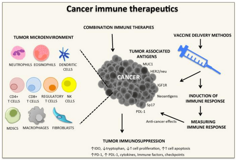terapii imune cancer