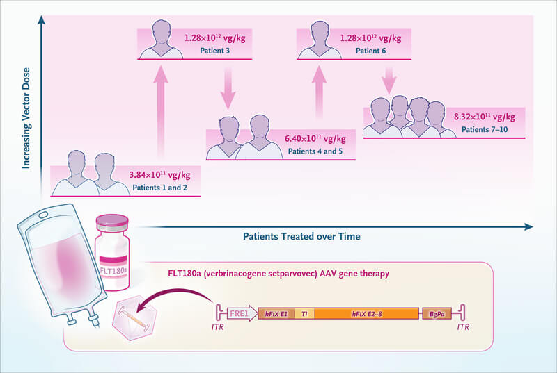 FLT180a verbrinacogene setparvovec hemofilie B terapie genica NEJM