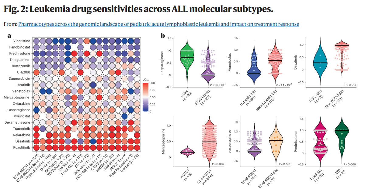 Leukemia drug sensitivities across ALL molecular subtypes