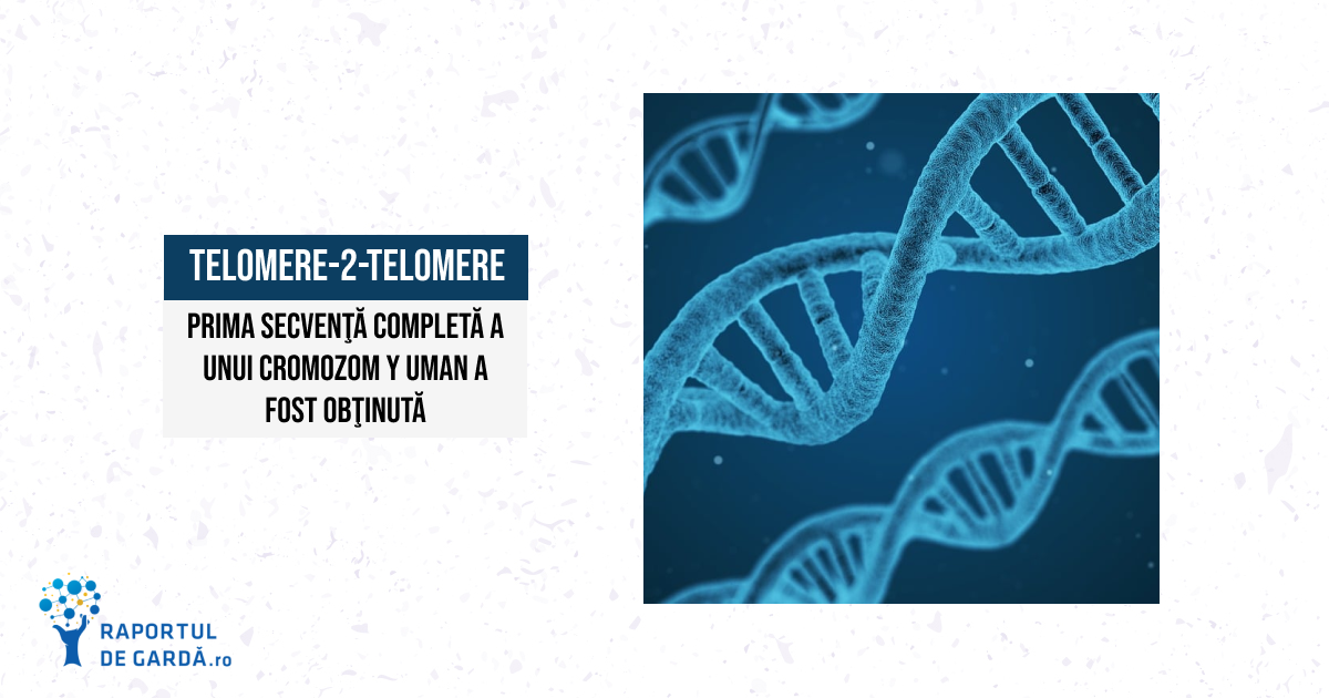 Completarea secvenţei de referinţă a genomului uman: primul cromozom Y secvenţiat în întregime de consorţiul Telomere-to-Telomere