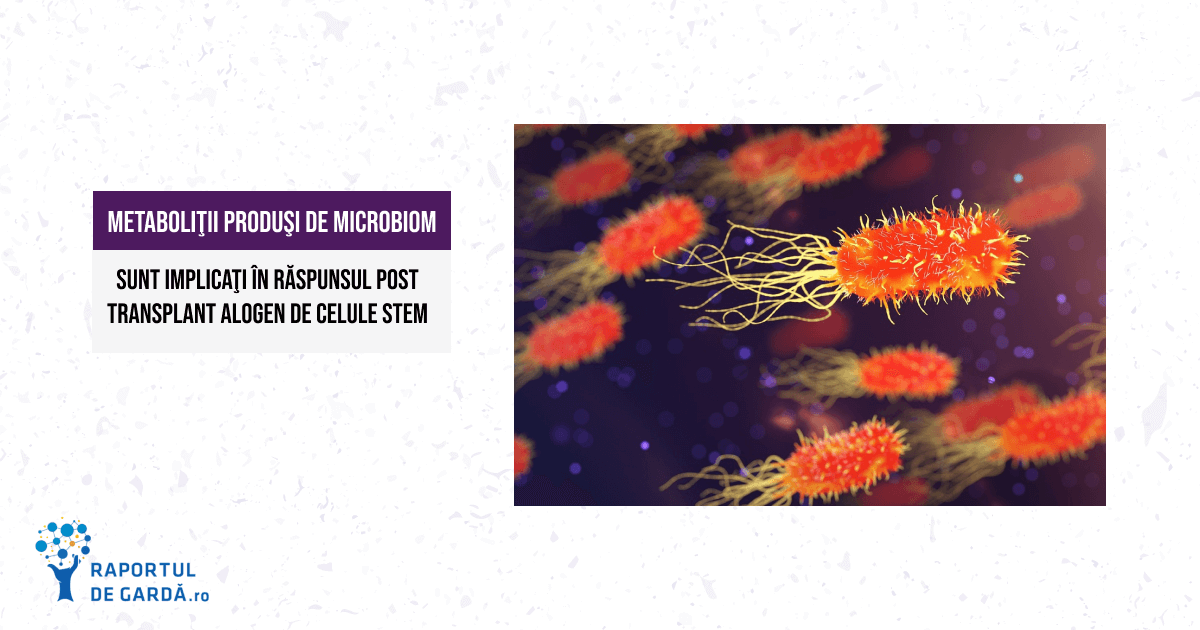 STUDIU. Metaboliţii produşi de microbiomul intestinal pot indica pacienţii care vor dezvolta reacţia de rejet a grefei în urma transplantului alogen de celule stem