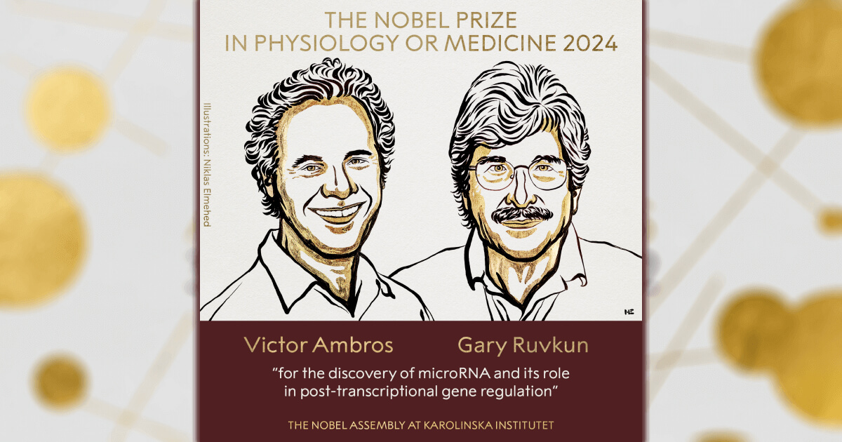 Premiul Nobel pentru Medicină și Fiziologie 2024: Victor Ambros și Gary Ruvkun - microARN și rolul acestuia în reglarea genelor post-transcripție