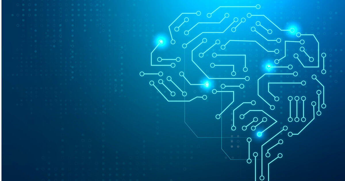 circuit neuronal