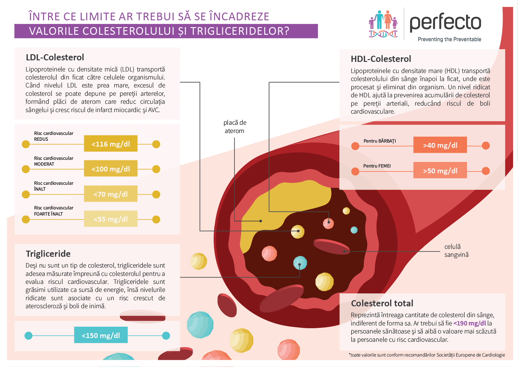 INFOGRAFIC. Valorile normale ale colesterolului și trigliceridelor