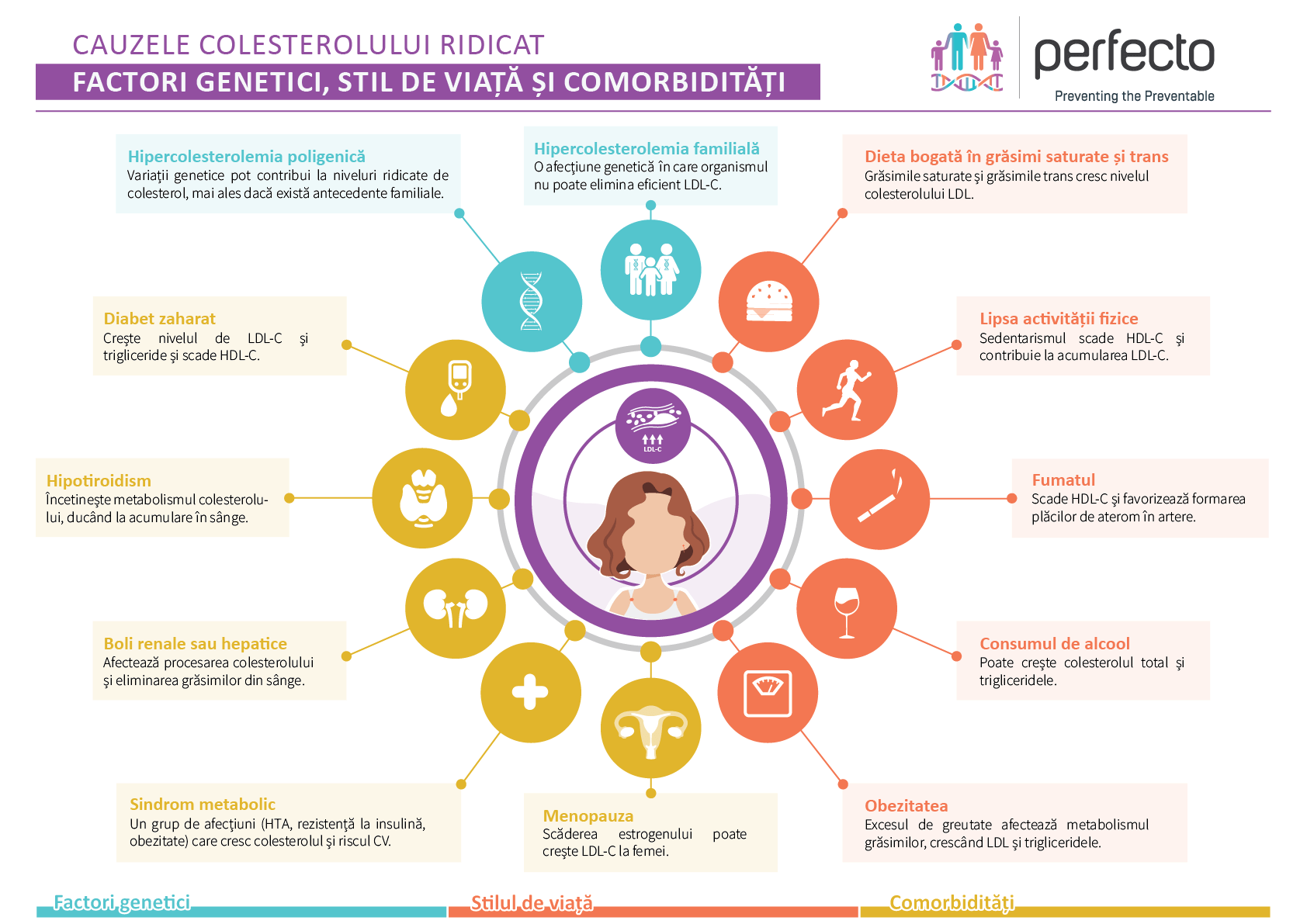 INFOGRAFIC. Cauzele colesterolului ridicat. Factori genetici, stil de viata, comorbiditati
