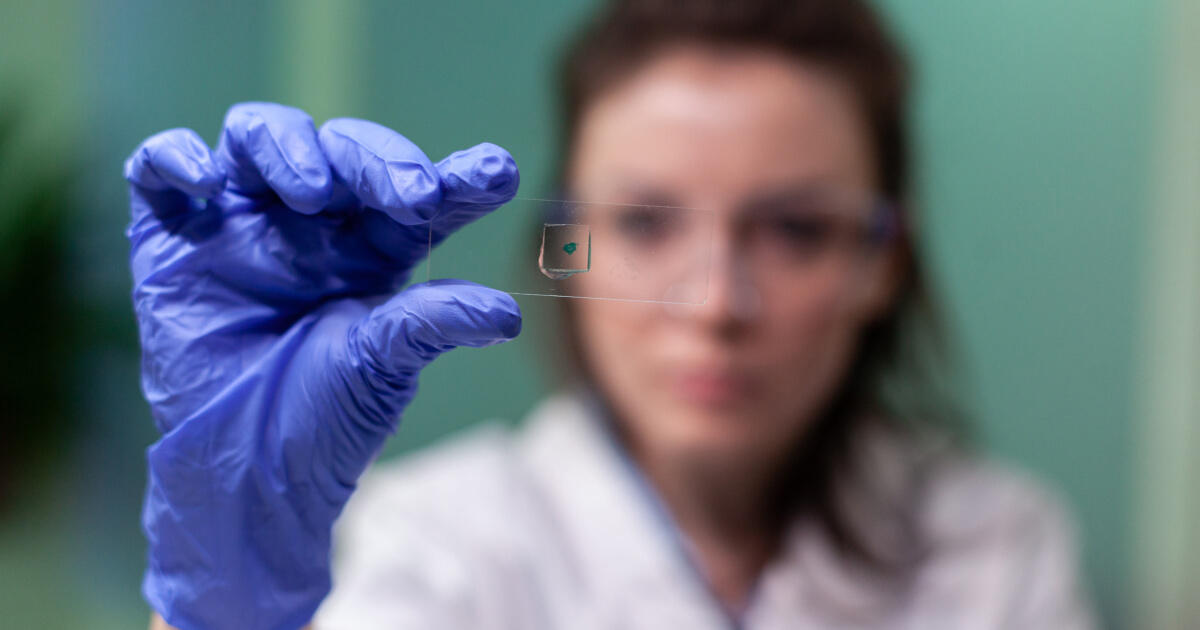 un microchip inovator analizează modul în care organismul se apără împotriva virusurilor